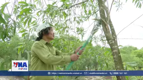  Nhà báo 10 năm “phủ xanh” vùng cát trắng