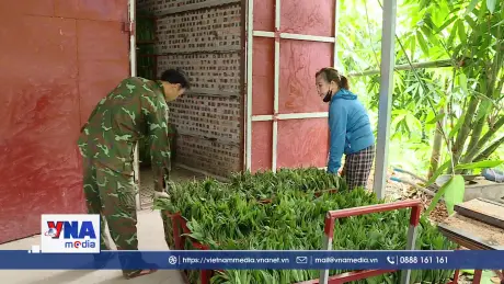 Đảm bảo công tác an sinh trong quá trình sáp nhập