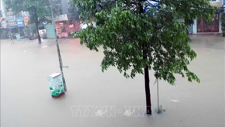 Thời tiết ngày 23/6: Mưa lớn cục bộ tiếp tục xảy ra ở Bắc Bộ