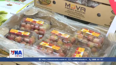 Tuần lễ vải Việt Nam tại London (Anh) thu hút người tiêu dùng sở tại