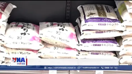 Giá gạo Nhật Bản lần đầu tiên giảm mạnh kể từ tháng 3