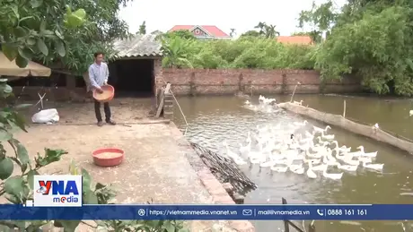 Nông dân huyện Lâm Thao thoát nghèo nhờ nguồn vốn tín dụng chính sách