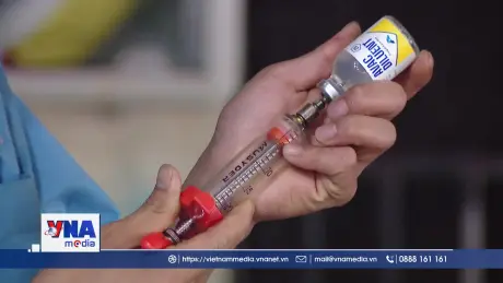 Vaccine dịch tả lợn châu Phi chứng minh hiệu quả tại trang trại quy mô lớn