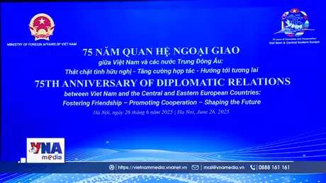 Tăng cường hợp tác - Hướng tới tương lai