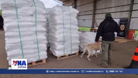 Buôn bán ma túy toàn cầu ngày càng gia tăng và phức tạp