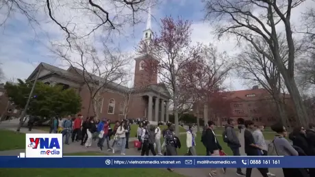 Đại học Harvard có phương án hỗ trợ sinh viên quốc tế