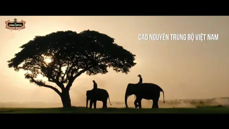 Gợi ý giải đề thi tốt nghiệp THPT 2025 môn Toán