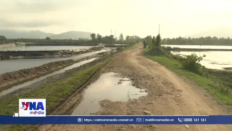 Thấp thỏm lo âu từ những tuyến đê xuống cấp