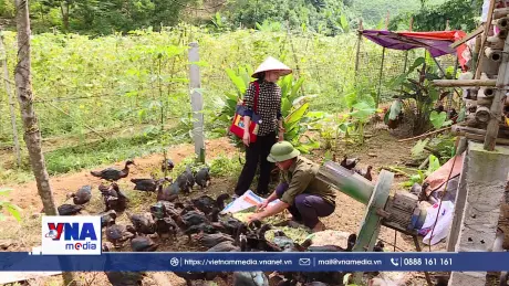 Giai đoạn mới, tư duy mới: Giảm nghèo bằng nội lực