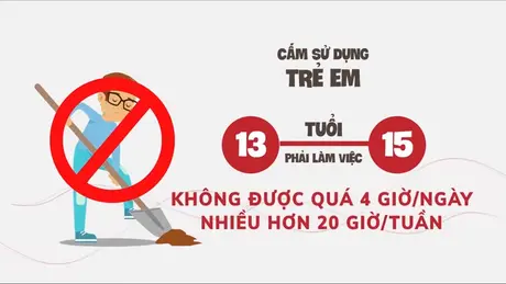 Khi tuổi thơ bị đánh cắp bởi gánh nặng mưu sinh