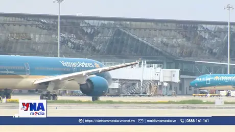 Đình chỉ bay hai tổ phi công sau vụ va chạm máy bay tại Nội Bài