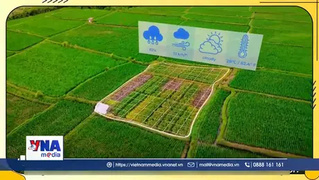 Thái Lan thu hút lượng lớn đầu tư vào trung tâm dữ liệu