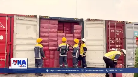 Hải quan bắt giữ và xử lý hàng loạt vụ buôn lậu thuốc lá