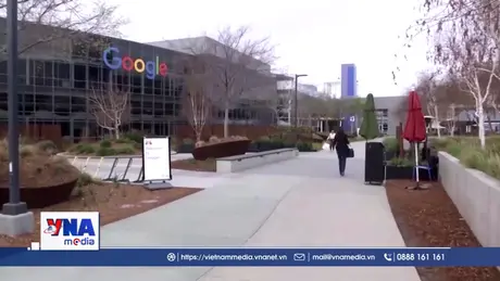 Google tăng 51% lượng khí thải ra môi trường từ khi có AI