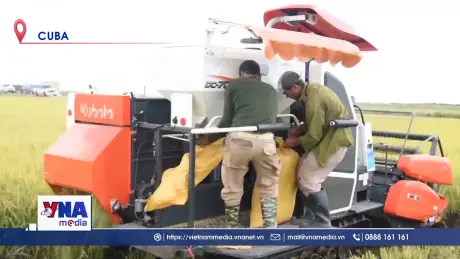 Việt Nam toàn cầu 01/7/2025