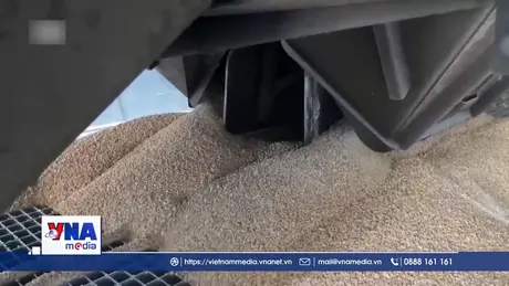 EU đạt thỏa thuận thương mại nông sản mới với Ukraine