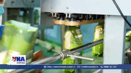 Xuất khẩu cuối năm: Vẫn phụ thuộc vào kết quả đàm phán thuế