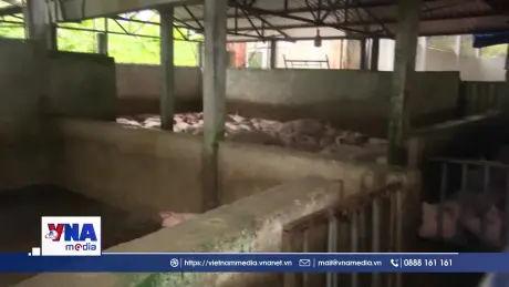 C.P Việt Nam thông tin về Kết luận điều tra  ATTP của Công ty