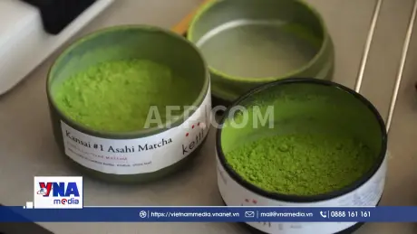 Cơn sốt matcha khiến nguồn cung toàn cầu cạn kiệt