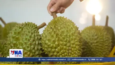 Nông nghiệp xuất siêu gần 10 tỷ USD