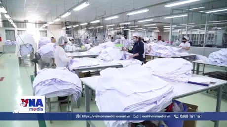 Hải Phòng đẩy mạnh công tác an toàn lao động tại nơi làm việc