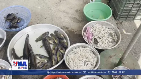 Dẹp chợ “3 không”, không thể chần chừ thêm