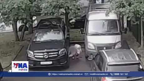 Nga ngăn chặn vụ tấn công khủng bố tại thành phố St. Petersburg