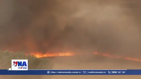 Cháy rừng gây thiệt hại lớn ở Mỹ