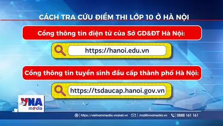 Cách tra cứu điểm thi lớp 10 ở Hà Nội