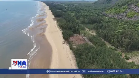 Bất cập trong quản lý rừng phòng hộ ven biển Hà Tĩnh