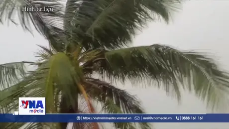 Áp thấp nhiệt đới hình thành trên Biển Đông