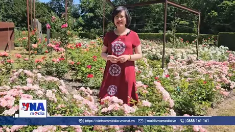 Thiên đường hoa hồng giữa lòng nước Bỉ