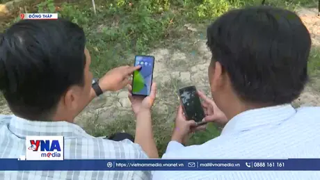 S Việt Nam ngày 6/7/2025