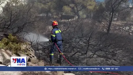 Hy Lạp chống chọi hơn 50 đám cháy rừng trong một ngày