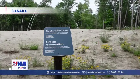 Việt Nam toàn cầu 08/07/2025