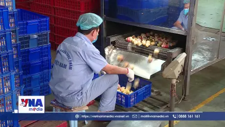 Đề xuất mức thuế suất ưu đãi cho doanh nghiệp