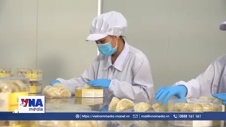 Bảo vệ doanh nghiệp trước nạn hàng giả và thông tin giả