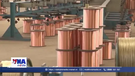 Mỹ chính thức áp thuế 50% với đồng nhập khẩu