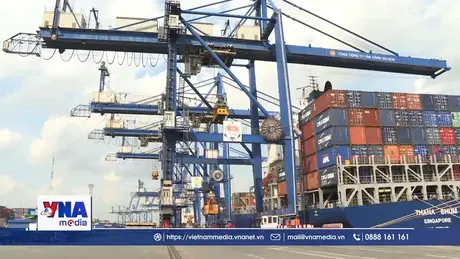 Xanh hóa để tái định vị ngành logistics Việt Nam