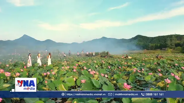 Mùa sen Trà Lý: Gắn kết con người, thiên nhiên và du lịch bền vững