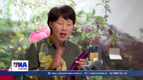 Làn sóng “nông dân mới” ở Trung Quốc