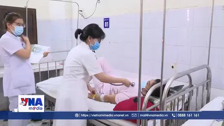 Thành phố Huế chủ động kiểm soát bệnh liên cầu lợn