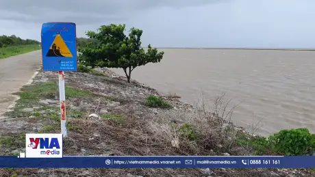Cà Mau bảo vệ đê biển Tây trong mùa mưa bão