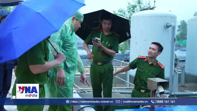 Xử lý nghiêm, triệt để tội phạm về môi trường