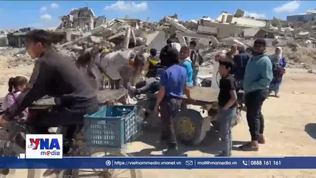 Nhiều người gặp rủi ro khi tìm cách tiếp cận hàng viện trợ tại Gaza