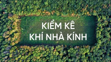 Từ 2026, doanh nghiệp phát thải lớn bắt buộc kiểm kê khí nhà kính