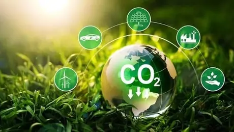 Thị trường carbon – Nguồn lực tăng trưởng xanh, định hình chiến lược khí hậu