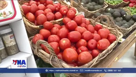 Mỹ áp thuế chống bán phá giá 17% đối với cà chua Mexico