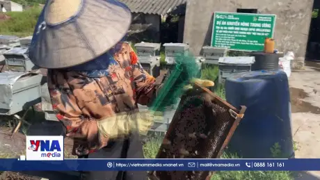 Ninh Bình phát triển thương hiệu mật ong vườn quốc gia