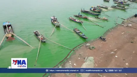 Nước hồ Trị An đổi màu do tảo xanh lan rộng